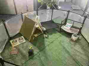 Corralito plegable transparente portátil para mascotas DIY con cierre de botón 6/8/10/12 Uds. Jaula de valla para perros de Interior para juego y entrenamiento - Product Image 5