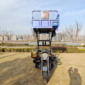 Tricycle motorisé chinois bleu à 3 roues, 4 temps, 350 CC, pour la cueillette de fruits - Product Image 5