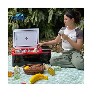 Réfrigérateur électrique à double usage pour voiture Réfrigérateur congélateur portable 15L avec système de chauffage et de refroidissement