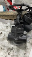 Vanne à soupape ASME à 16 étapes de contrôle de qualité, en acier forgé A105, DN40, CLASSE 900, manuelle, avec siège OEM STL pour systèmes de centrales électriques