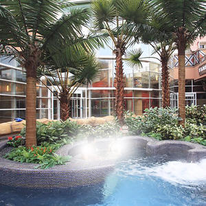 <span class=keywords><strong>ไม้</strong></span><span class=keywords><strong>เทียม</strong></span>ประดับสวน27ฟุตยาว10เมตรยาว15เมตร,สำหรับตกแต่งภายในและภายนอกอาคารสีเขียว - Product Image 6