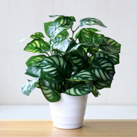 Tanaman Pot Bunga Eucalyptus Plastik Hijau Bonsai Buatan 25cm Dekorasi Rumah Kamar Tidur Taman Perlengkapan Dekorasi Thanksgiving