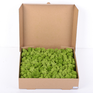 UKIQUEEN Wholesale Preserved <strong>Moss</strong> Wall Decorative <strong>Moss</strong> Wall <strong>Dried</strong> <strong>Moss</strong> for Wall - Product Image 2