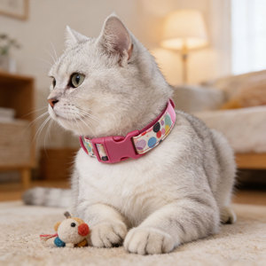 Nouveau collier pour animaux de compagnie, série Fruits et Fleurs, boucle colorée, collier pour chien et <span class=keywords><strong>chat</strong></span>, gravure laser, lettrage, toutes saisons, collier festif pour chien - Product Image 4
