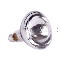 Lampe chauffante infrarouge électrique 100W/150W/200W/250W/275W, ampoule pour couveuse d'animaux, poulet, porc, élevage d'animaux