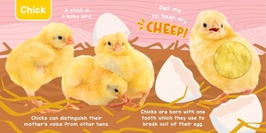 Libro Sensoriale Tattile e Sonoro per Bambini con Animali della <span class=keywords><strong>Fattoria</strong></span> e Suoni di Animale Domestico - Libri Sonori Premium - Product Image 4