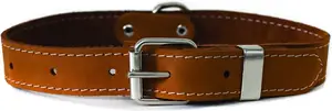 Nieuw Aankomen Hoge Kwaliteit Euro Hond Traditionele Leren Hondenhalsband - Product Image 3