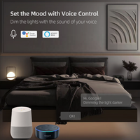 Tuya Zigbee Gradateur A2-Z61 UE Standard Smart Button Alexa Google Home Compatible