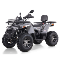 Quad Tao Motor 2026, nouveau modèle en gros, 4x2, transmission automatique par chaîne, Cuatrimotos ATV 250cc avec EEC CE EPA