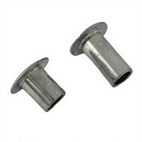 Rivet en acier semi-tubulaire à tête ovale moderne et durable pour la fixation de l'endlock sur les lames de porte à enroulement