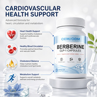 Capsules de berbérine pour la santé intestinale OEM/ODM, extrait naturel, soutien digestif et intestinal pour adultes, soutien de la microbiote intestinale