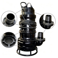 Pompe à boue submersible en fer résistant à la corrosion pour le traitement des eaux usées, utilisation sous-marine haute performance