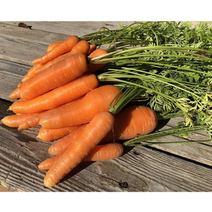 Zanahorias frescas orgánicas al por mayor vietnamitas Bebidas de alimentos integrales con sabor dulce Precio razonable y servicio postventa - Product Image 4