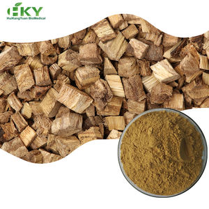 Toptan Kudzu kök ekstresi tozu 20:1 bitkisel özü tozu Powder aria Mirifica kök - Product Image 1