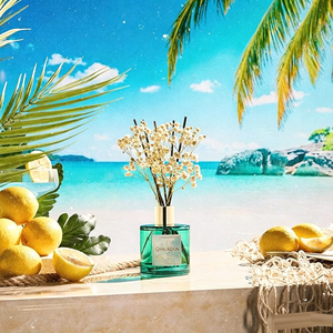 Diffuseur <span class=keywords><strong>de</strong></span> parfum à bâtonnets en rotin naturel, best-seller, écologique, longue durée, parfum Hawaï Melody, 200 ml, senteur boisée chaude et épicée - Product Image 3