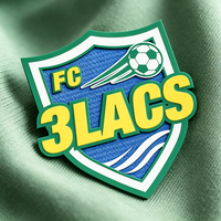Écussons thermocollants personnalisés en silicone, étiquettes de transfert thermique, patchs de football, badges d'équipes sportives, logo 3D Flexstyle en relief pour maillot