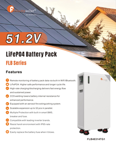 Batterie au lithium fer phosphate (LiFePO4) solaire Felicity FLB48314TG1, pack de batteries au sol 314Ah 16kWh 51.2V, garantie 10 ans, télécommande solaire - Product Image 2