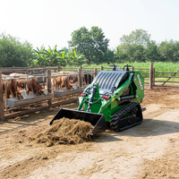Mini-chargeuse compacte professionnelle à moteur diesel EPA, avec accessoires, 4x4, pour l'élimination des déchets agricoles et l'élevage