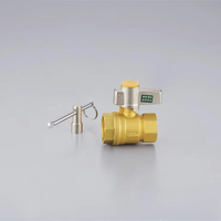 Vanne de verrouillage manuelle en laiton de 1/2 pouces avec conception OEM personnalisable 3/4 boule BSP mâle pour les milieux aquatiques