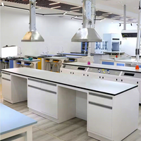 Vente en gros de meubles de laboratoire à cadre en acier établi chimique commercial banc de laboratoire table meubles de laboratoire de physique
