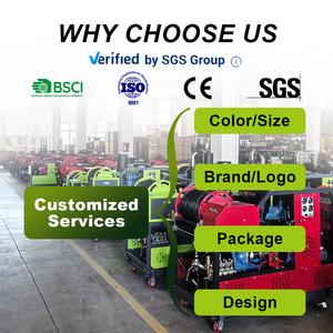 Pompa a Pistone Triplex LICHIMA per Idropulitrice ad Alta Pressione 150-350 Bar 18-30L/Min - Product Image 5