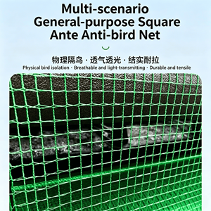 Malla Rectangular Tejida de HDPE para Agricultura, Anti-Pájaros, Blanca, para Atrapar Aves, para Árboles Frutales, Viñedos y Uso Agrícola - Product Image 3