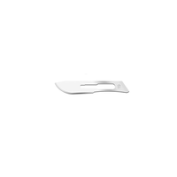Lame chirurgicale #19 Scalpels dentaires stériles CE Acier de qualité médicale approuvé pour les procédures chirurgicales orales