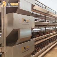 Équipement d'élevage avicole automatique pour 30 000 poules en cage, système d'élevage de poules pondeuses avec contrôle environnemental, Indonésie