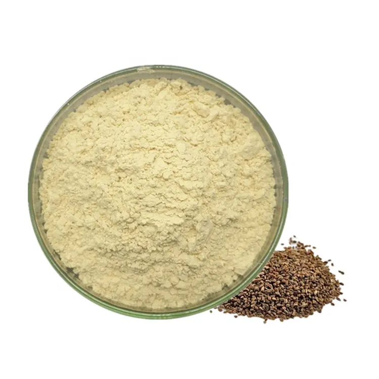 Celery seed P.E. Apium graveolens extract