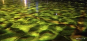 Projecteur d'effets lumineux ondulants pour l'extérieur, pour l'éclairage des bases d'arbres et la conception de sentiers de jardin - Product Image 1
