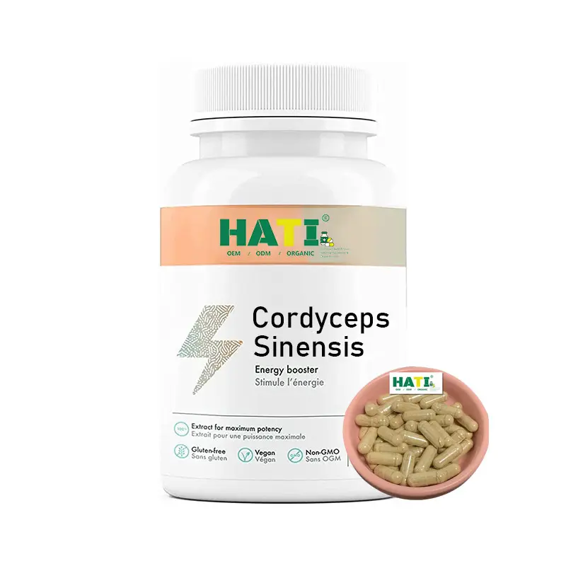 Top Quality Cordyceps Sinensis Extract Powder 500mg Cordyceps Sinensis Capsules
