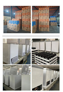 High-Efficiency 198L 255L 12V/24VDC Solar Ice Maker for Island Use and Small Shops for Haiti Market Solar Freezer for Farm - Product Image 1