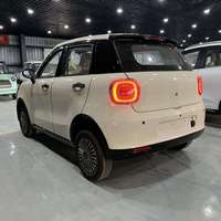 Voiture électrique écologique - Véhicule à énergie nouvelle à longue autonomie, Véhicule électrique très demandé pour la famille