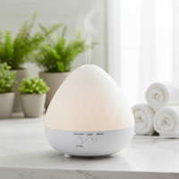 Diffuseur d'huiles essentielles LED 250 ml avec minuterie, aromathérapie, pour la maison, l'hôtel et le spa - Vente en gros