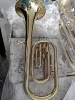 Yellow Brass BE Alto Horn Brass Instruments with Premium Case(AH-G400G-YRY)
