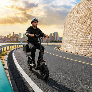 Vélo cargo électrique à 2 roues 36V 500W, 7 vitesses, avec dérailleur, vélo cargo électrique pour le transport de marchandises - Product Image 2