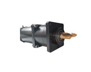 <span class=keywords><strong>Motor</strong></span> planetário de alta velocidade com ímã permanente, 256 (1296)i 110ZYT, 200W, 220V, 3000RPM, mini moto elétrica escovada, <span class=keywords><strong>motor</strong></span> <span class=keywords><strong>DC</strong></span> - Product Image 2