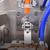 Machine de remplissage de sachets entièrement automatique de la marque Acepack pour le ketchup, la mayonnaise, la sauce, etc.