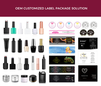 Vente en gros de vernis gel Pro Factory avec logo personnalisé Vernis gel UV de couleur sans trempage Hema