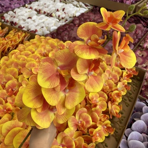 Real Touch Phalaenopsis <span class=keywords><strong>artificiale</strong></span> decorazioni per matrimoni all'ingrosso lattice farfalla orchidee fiori di <span class=keywords><strong>orchidea</strong></span> <span class=keywords><strong>artificiale</strong></span> - Product Image 4