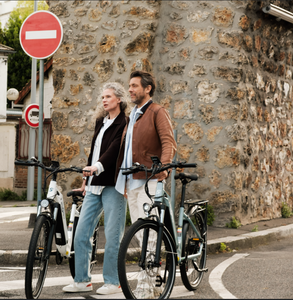 Eu Onesport OT05 <b>Electric</b> City Bike 250W <b>Electric</b> Bike Adult 36V Fatbike <b>Electric</b> Hybrid Bike Food Delivery Ebike Women Ebike - Product Image 2