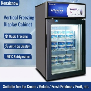Vitrine Réfrigérée Commerciale YINZHENG à <span class=keywords><strong>Porte</strong></span> Simple pour Mini-Gelato, <span class=keywords><strong>Réfrigérateur</strong></span>-Congélateur à Température Unique pour Crèmes Glacées - Product Image 5