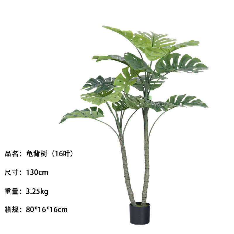 Monstera deliciosa (16 feuilles) 130cm