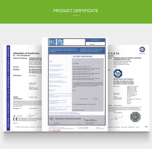 מפעל לשקע אוויר מתג <span class=keywords><strong>DC</strong></span> 550V 2p מפסק כללי חשמלי - Product Image 3
