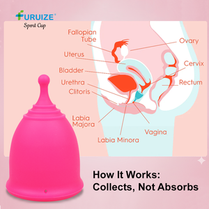 Stérilisateur à vapeur tactile Furuize pour coupe <span class=keywords><strong>menstruelle</strong></span> en silicone de qualité médicale – Nettoyage des coupes menstruelles - Product Image 1