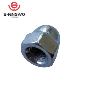 น๊อตเหล็กกล้าคาร์บอน<span class=keywords><strong>319</strong></span>ดิน1587ทรงโดมหกเหลี่ยม - Product Image 3