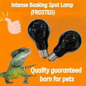 Chứng Nhận Chất Lượng A19 60W 120V/220V-240V <span class=keywords><strong>Frosted</strong></span> Sợi Đốt Bóng Đèn <span class=keywords><strong>Halogen</strong></span> Cho Gà Con Loài Bò Sát Cổ Điển Chiếu Sáng - Product Image 6