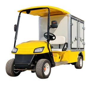 Carrito de Golf Eléctrico Qilu Fengde, 48V, 2WD, Capacidad de Carga de 300-400 kg, Vehículo Utilitario de Dos Plazas - Product Image 1