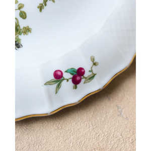 Plato de Verduras de Porcelana Francesa de 8 Pulgadas, Plato de Cerámica Pintado a Mano con Diseño de Ave del Paraíso, Patrón Personalizable para Uso Doméstico y Hotelero - Product Image 2