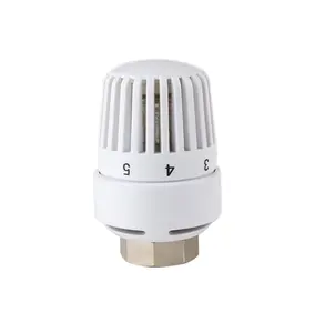 Automatic Thermostatic Head For Radiator Valve M30*1.5